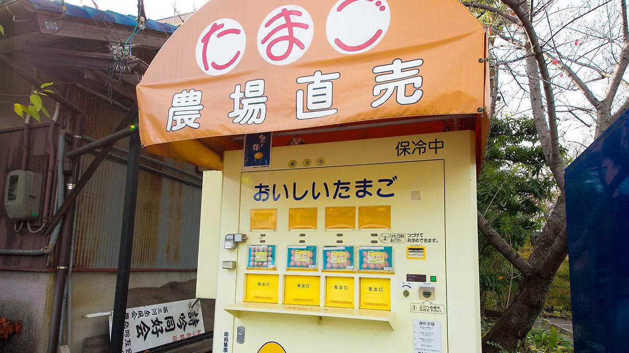 Matsukaze Hotel Toyota  Luaran gambar